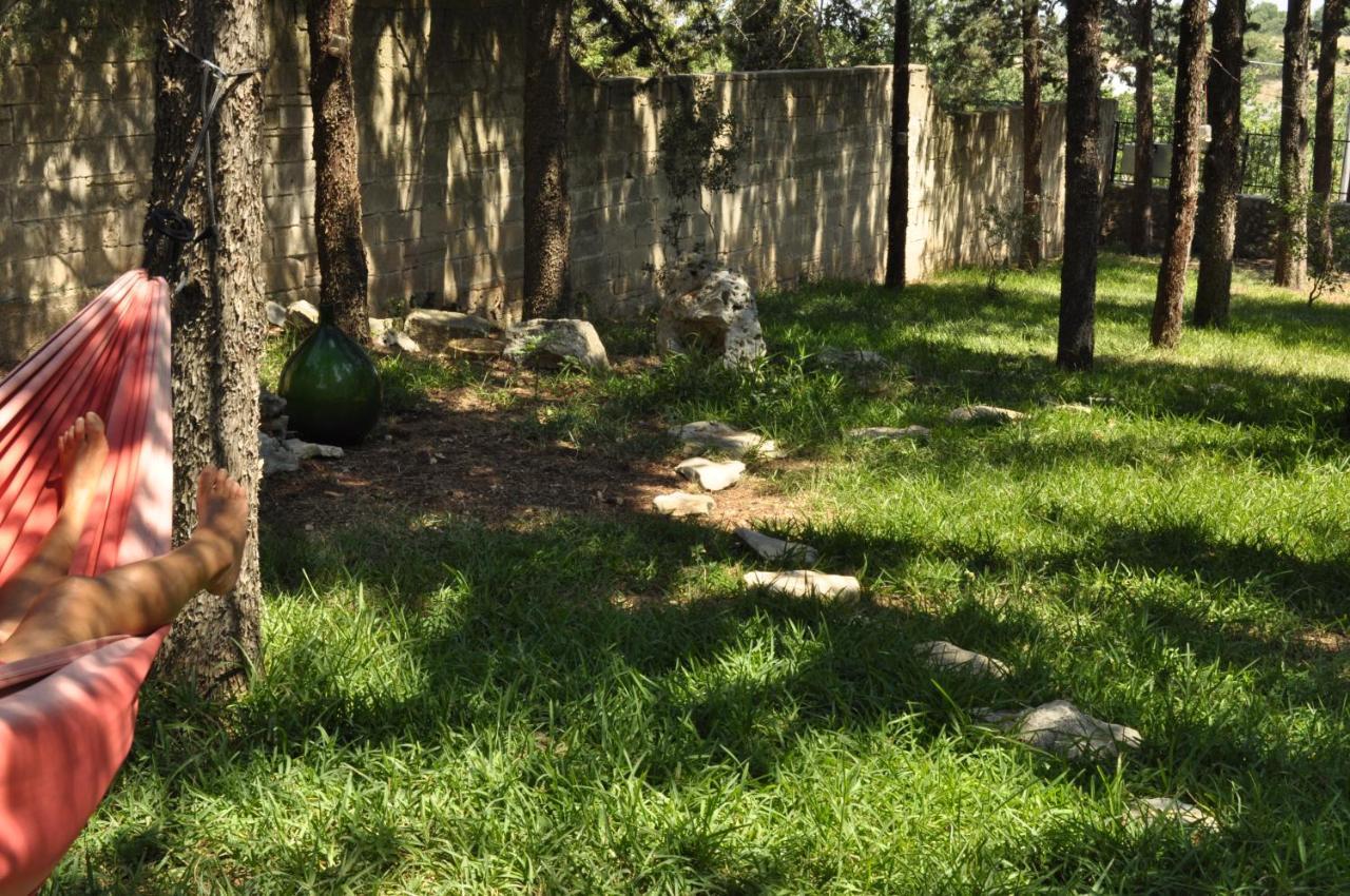 Villa Parco Alta Murgia Cassano delle Murge Ngoại thất bức ảnh