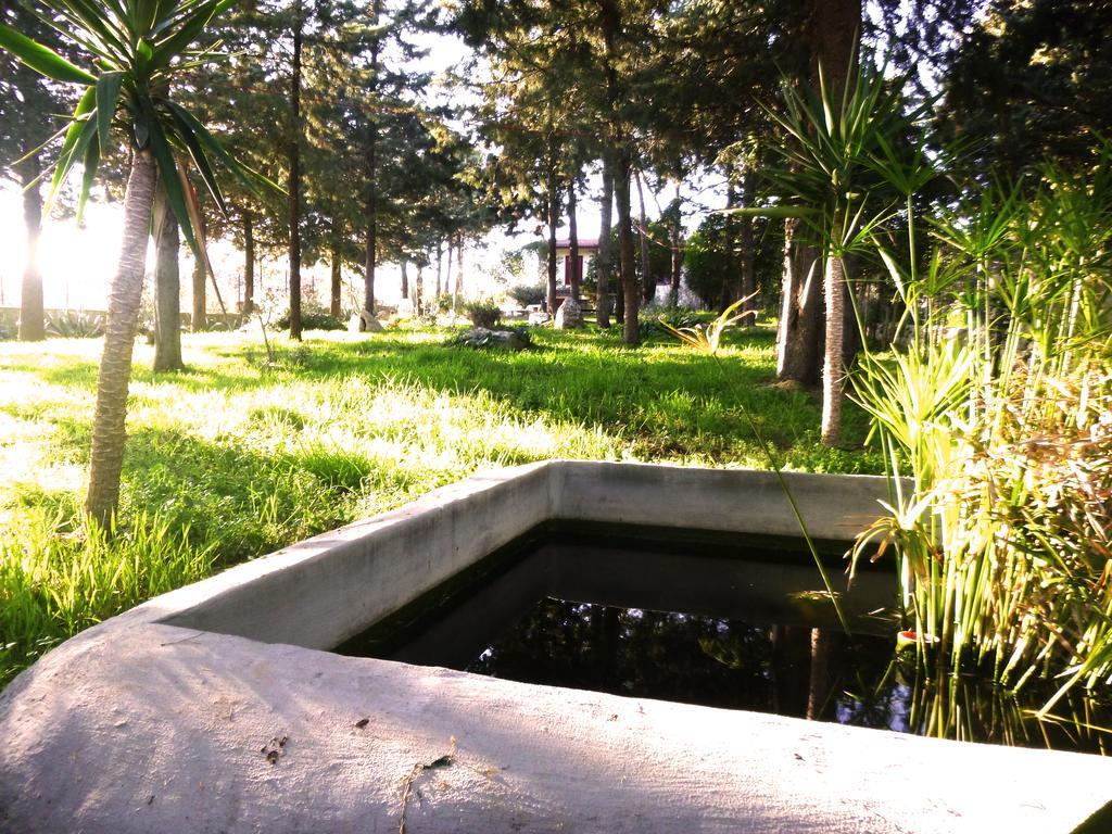 Villa Parco Alta Murgia Cassano delle Murge Ngoại thất bức ảnh