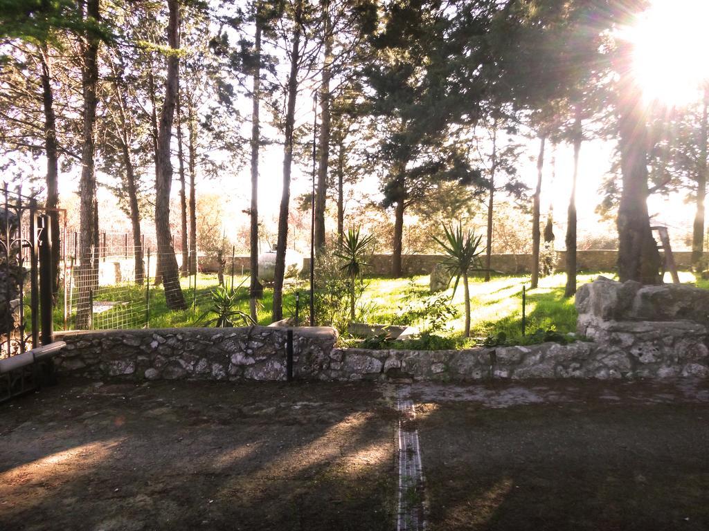 Villa Parco Alta Murgia Cassano delle Murge Ngoại thất bức ảnh